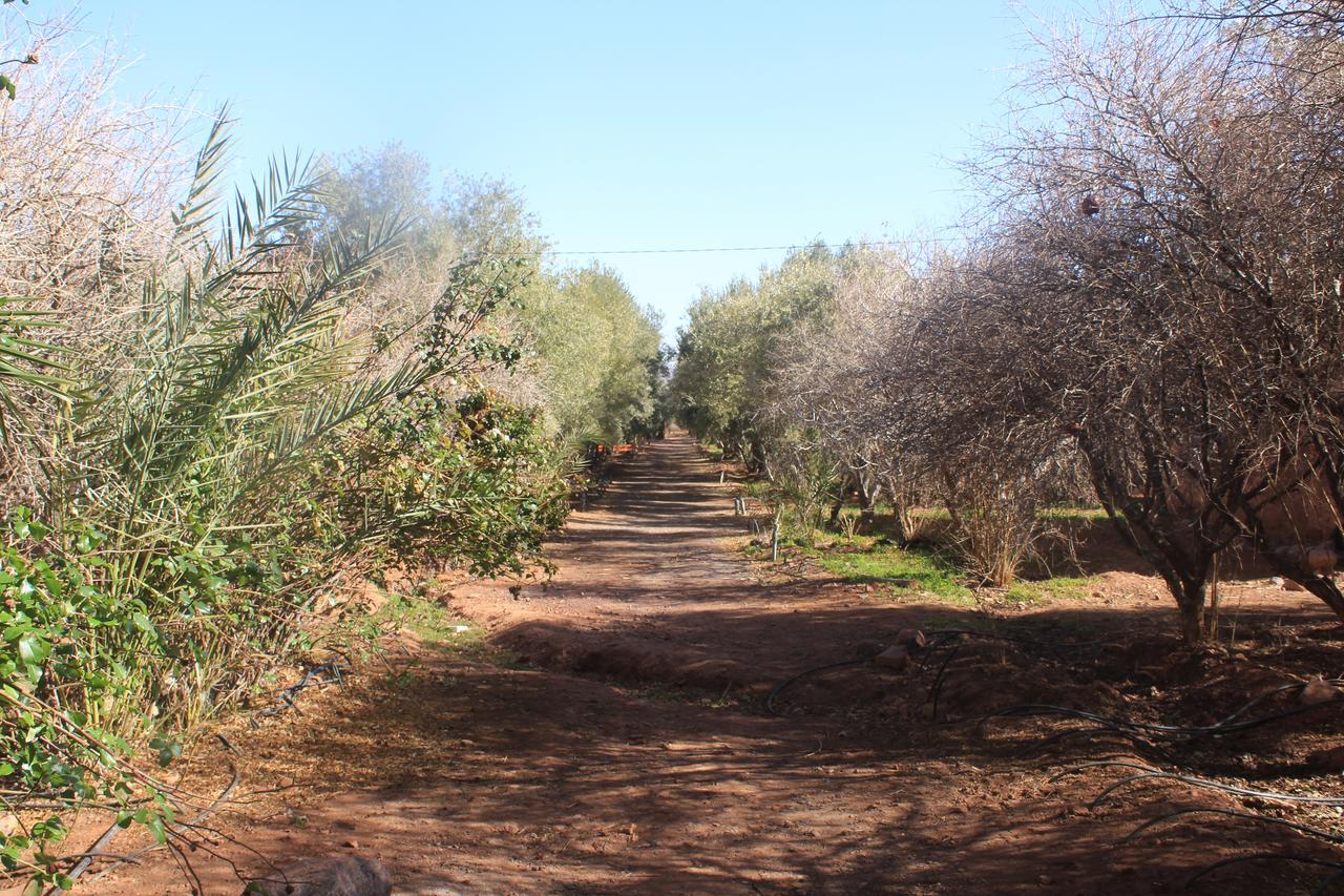 Dar Alfourssane Ferme d’hôte Uarzazate Exterior foto